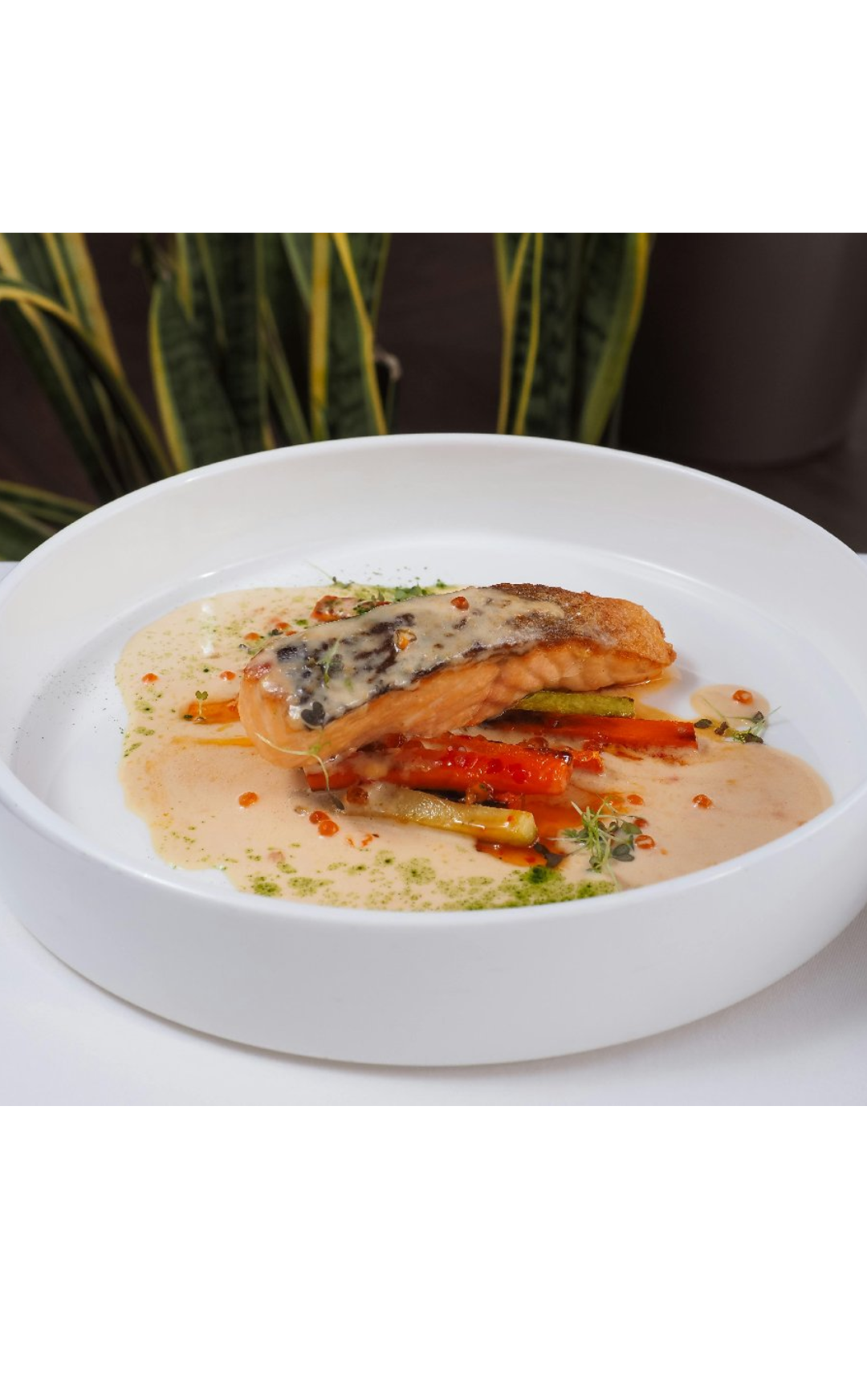 Suprême Sauce (Cream Velouté)